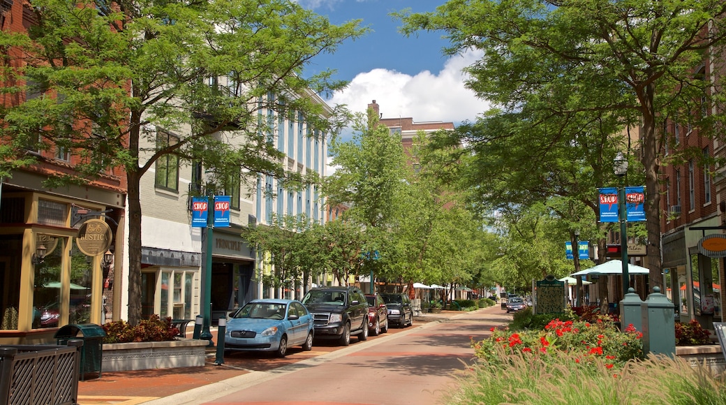 Kalamazoo showing a small town or village and wild flowers