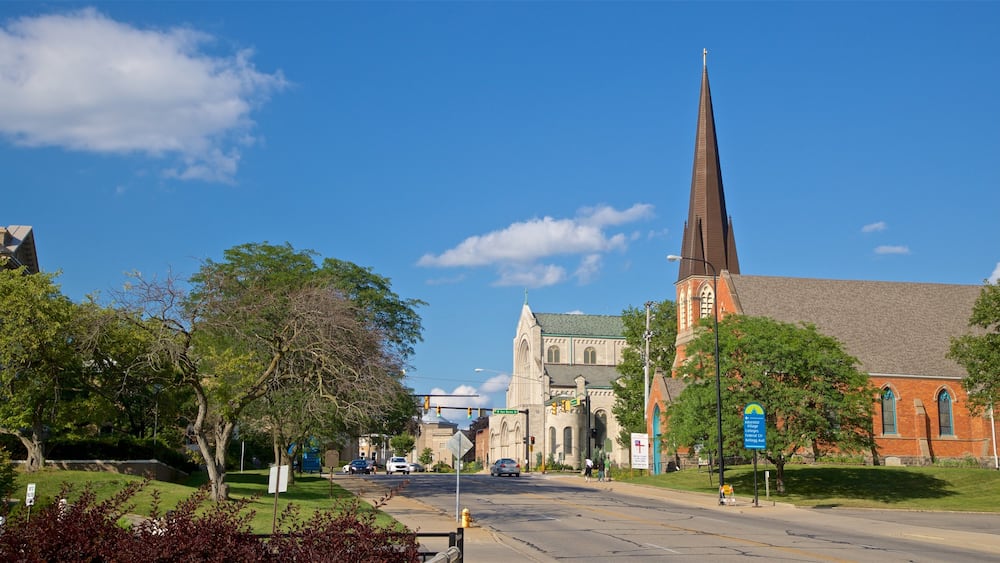 Battle Creek showing a small town or village and a church or cathedral