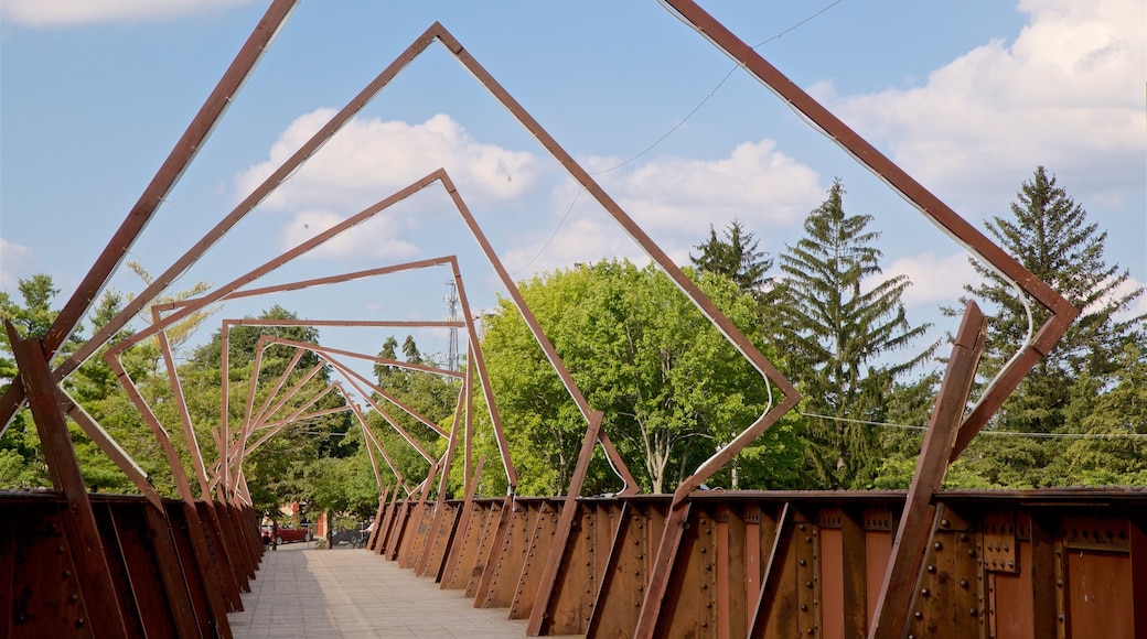 Adado Riverfront Park showing a bridge