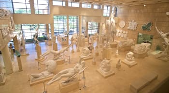 Marshall M. Fredericks Sculpture Museum showing art, interior views and a statue or sculpture