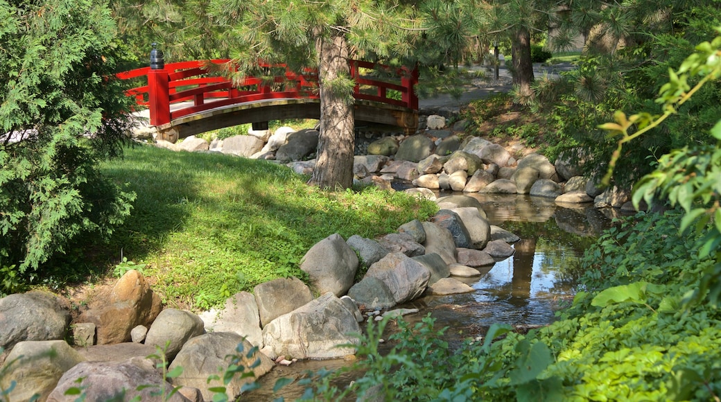 Japanese Cultural Center featuring a bridge, a garden and a river or creek