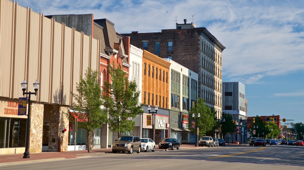 Saginaw featuring a city