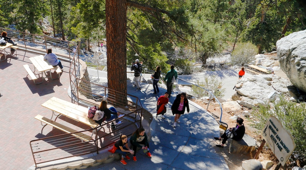 Palm Springs Aerial Tramway showing hiking or walking and a garden