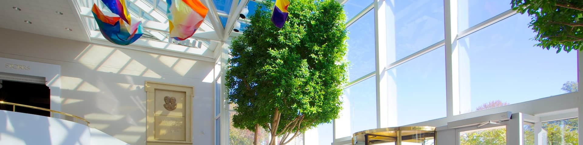 Mint Museum of Art showing interior views