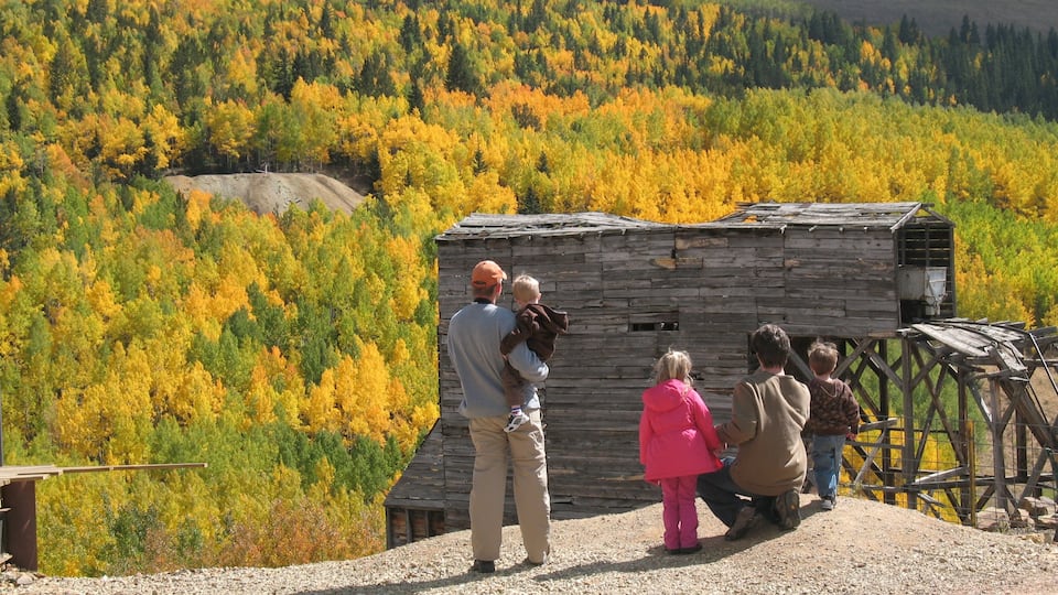 Colorado Springs showing hiking or walking, autumn leaves and forests