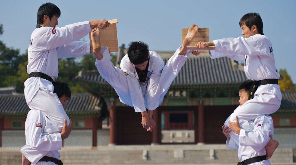 Gyeongbok Palace which includes a sporting event and a castle as well as a small group of people