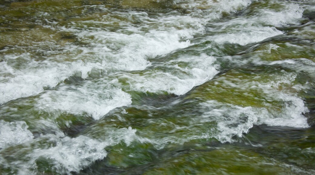 Fluss Cheonggyecheon das einen Landschaften und Stromschnellen