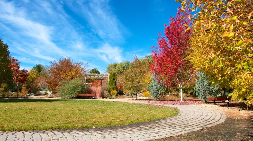 Rancho San Rafael Park which includes autumn colours and a park