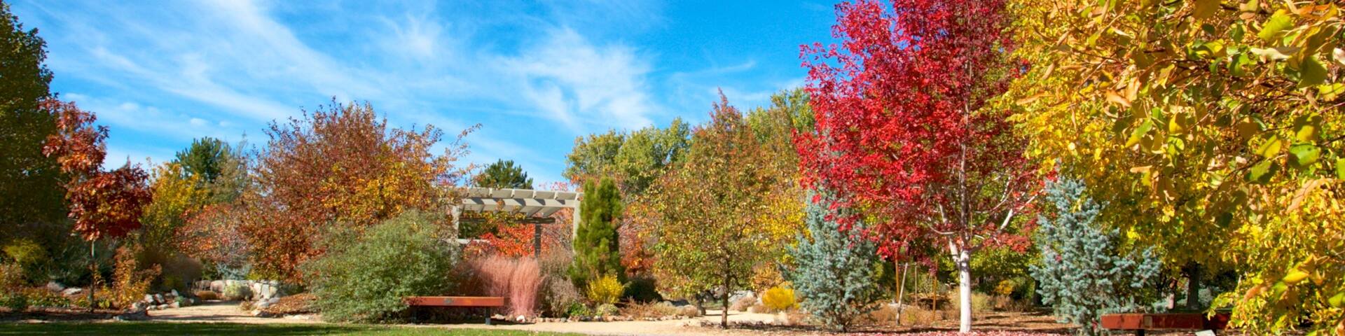 Rancho San Rafael Park das einen Park und Herbstblätter