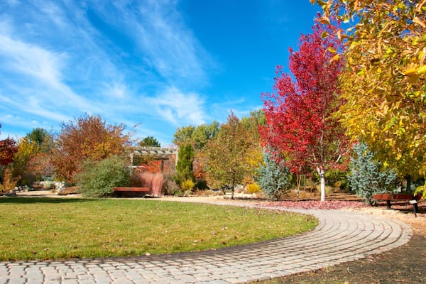 Rancho San Rafael Park qui includes parc et couleurs d\'automne