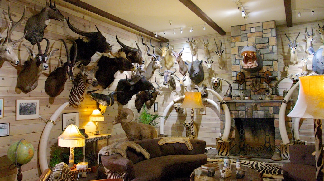 Rancho San Rafael Park featuring interior views
