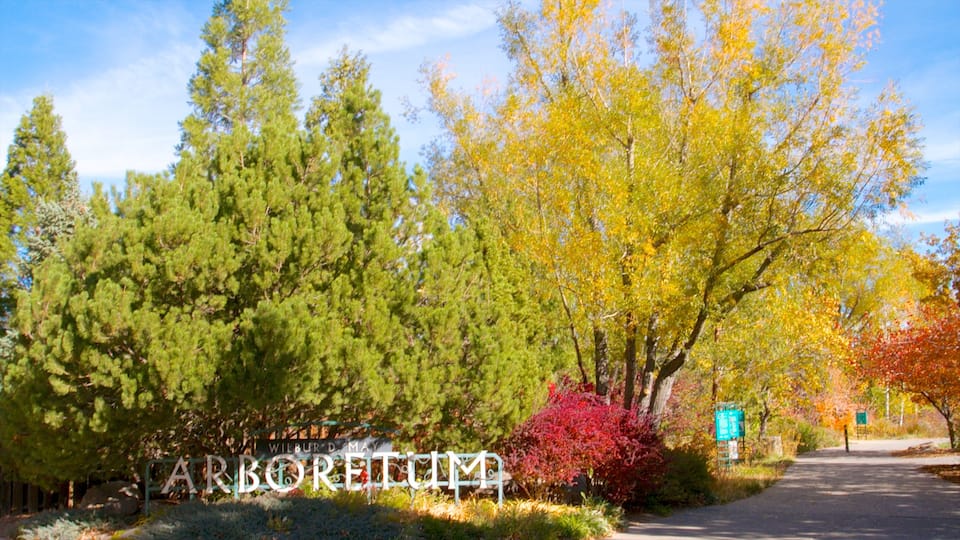 Rancho San Rafael Park featuring a garden, fall colors and rides