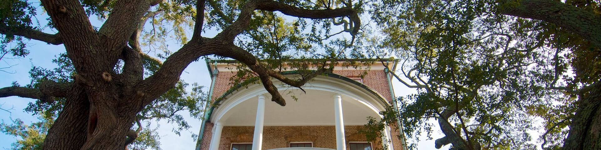 Joseph Manigault House montrant maison