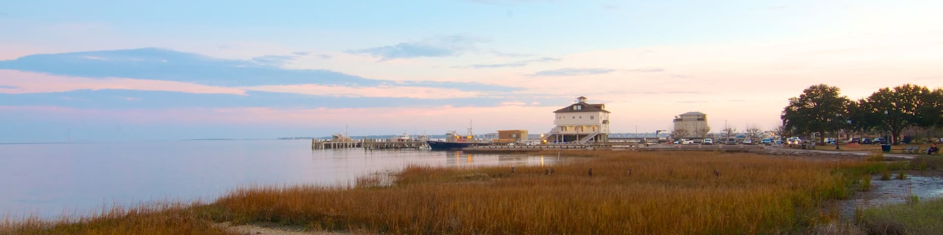 Charleston Waterfront Park featuring a coastal town, general coastal views and autumn leaves