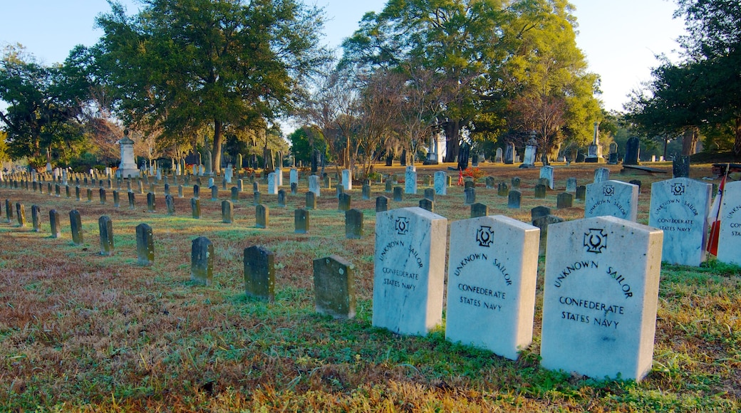 Magnolia Cemetery featuring a cemetery, signage and religious aspects