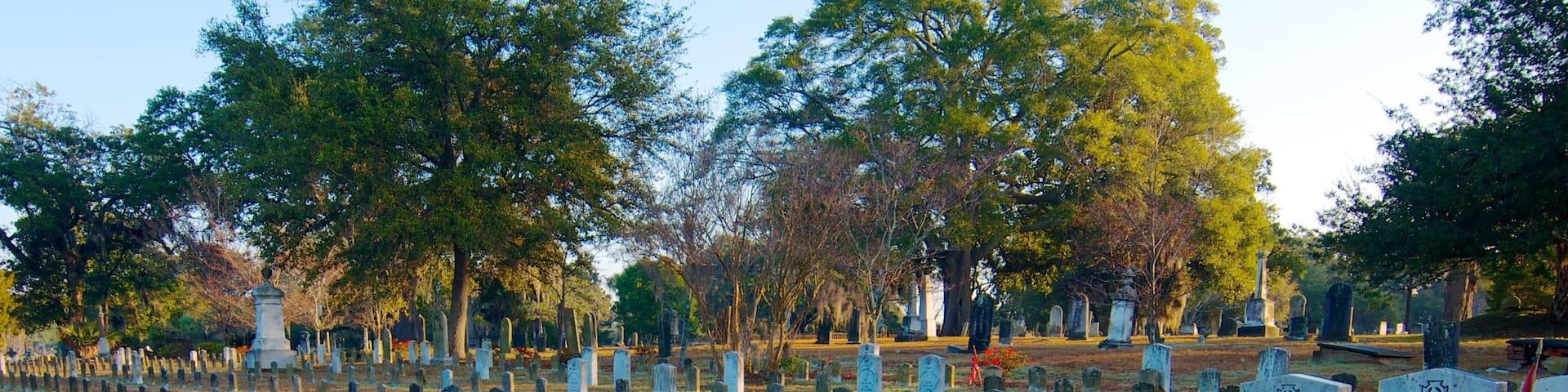Magnolia Cemetery featuring signage, religious elements and a cemetery