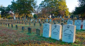 Magnolia Cemetery featuring a cemetery, signage and religious aspects