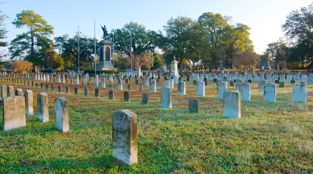 Magnolia Cemetery showing a memorial and a cemetery