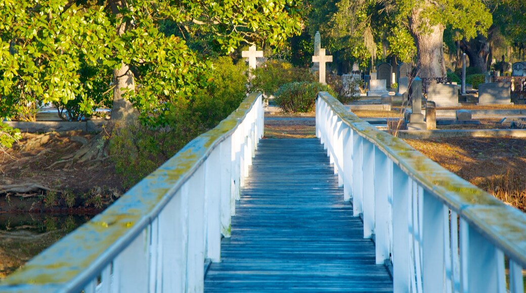 Magnolia Cemetery featuring a cemetery