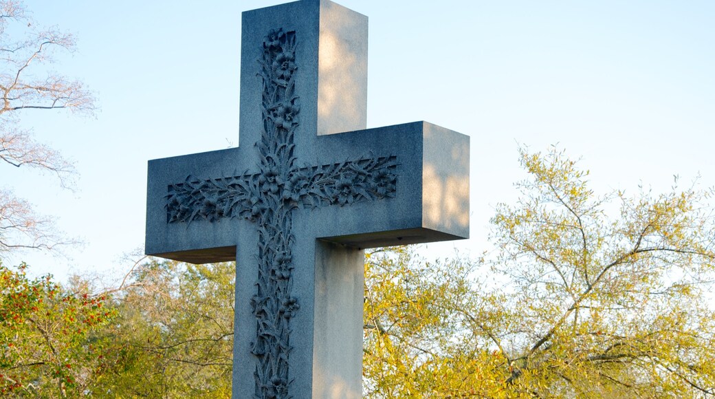 Magnolia Cemetery showing a cemetery and a memorial