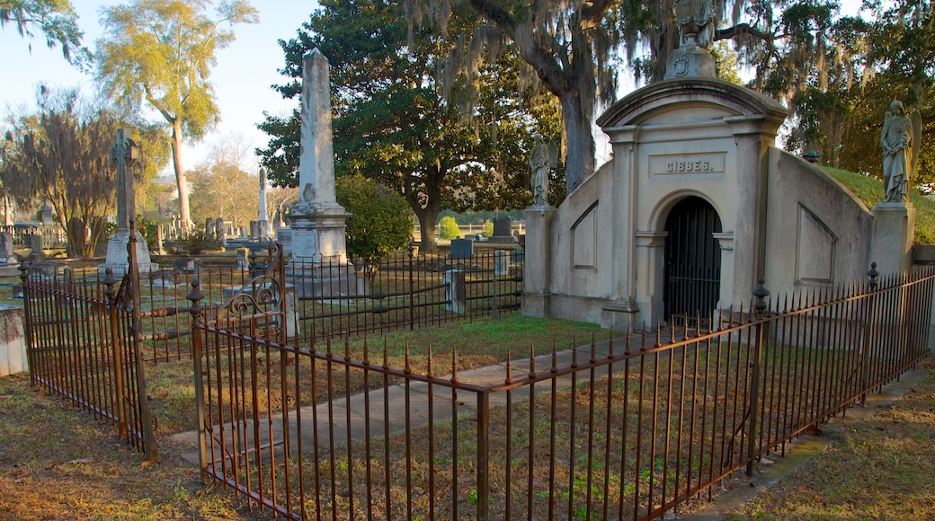 Magnolia Cemetery que incluye un cementerio y un monumento