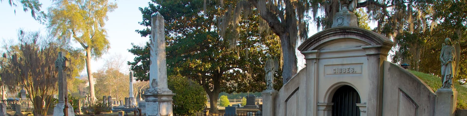 Magnolia Cemetery which includes a memorial and a cemetery