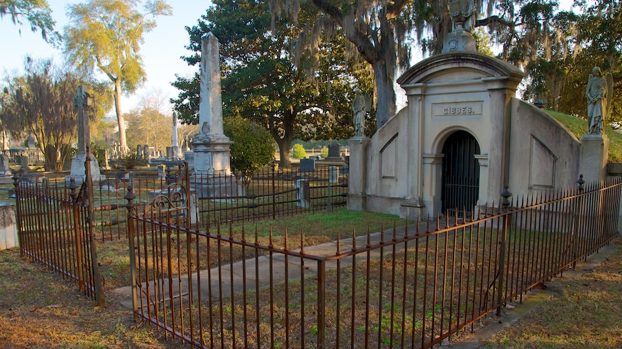 Magnolia Cemetery