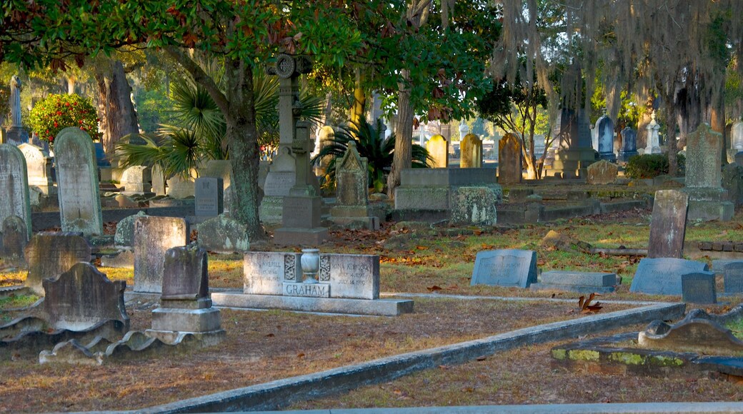 Magnolia Cemetery featuring a memorial and a cemetery