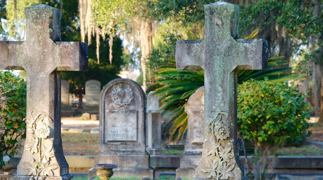 Magnolia Cemetery showing a cemetery and a monument