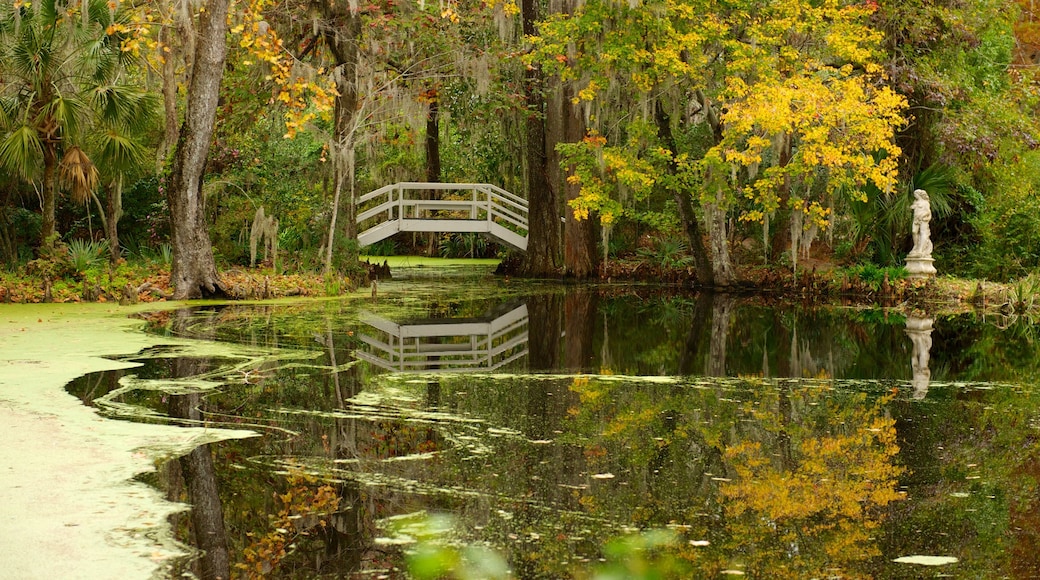 Magnolia Plantation and Gardens mostrando un jardín, vistas de paisajes y un estanque