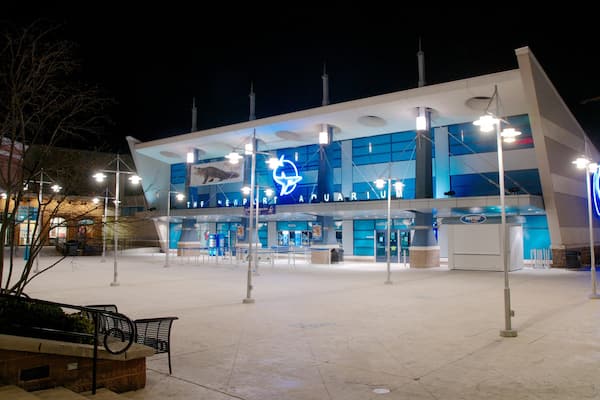 Newport Aquarium montrant vie marine et scènes de nuit