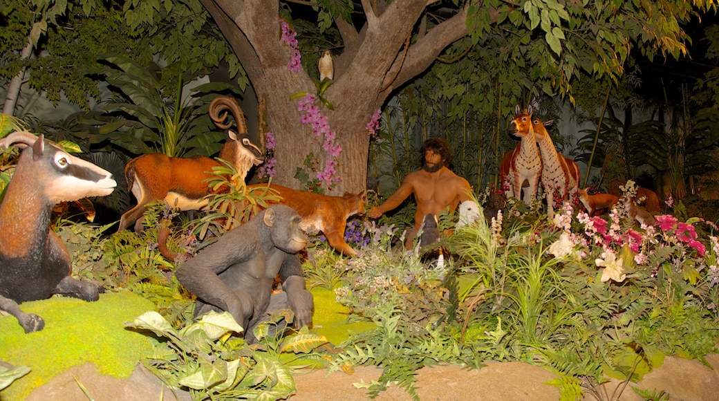 Creation Museum ofreciendo vista interna