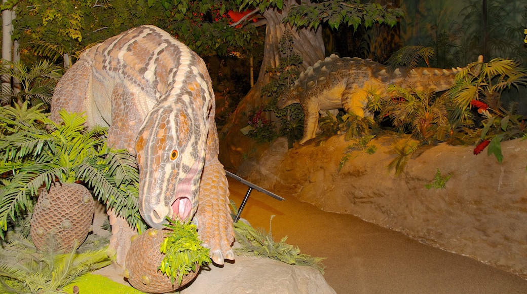 Creation Museum which includes interior views