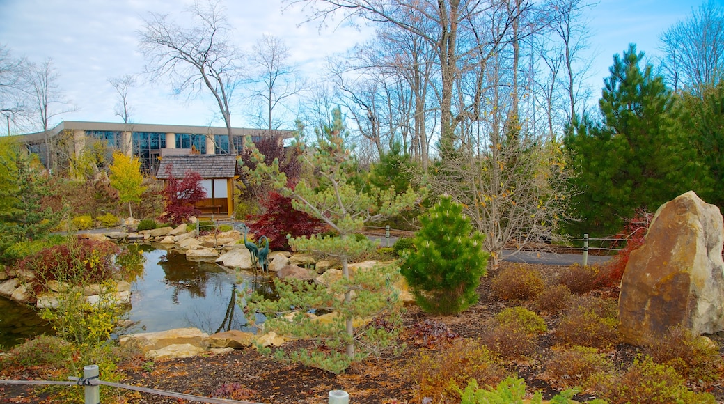 Creation Museum showing landscape views and a pond