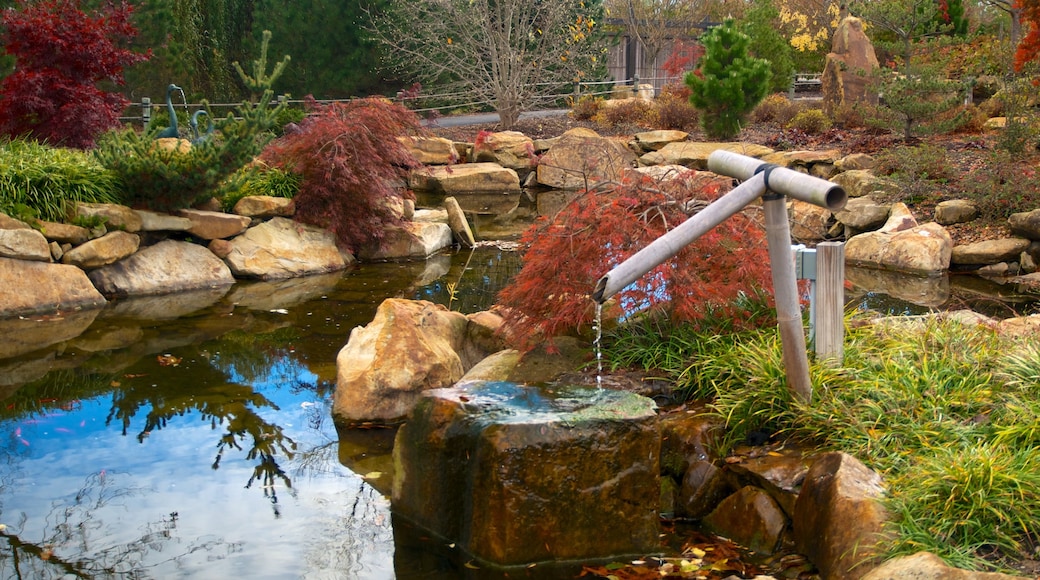 Creation Museum featuring a garden and a pond