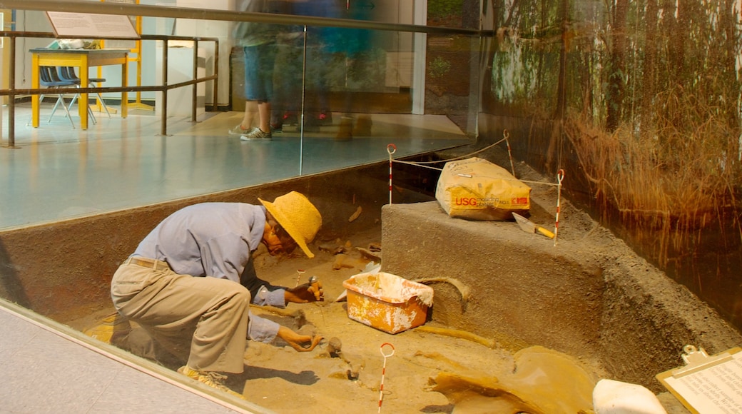 Cincinnati Museum Center at Union Terminal showing interior views as well as an individual male