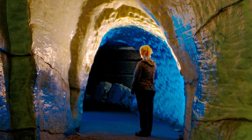 Cincinnati Museum Center at Union Terminal showing interior views and caves as well as an individual female