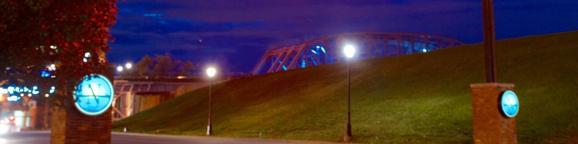 Newport on the Levee showing night scenes and signage