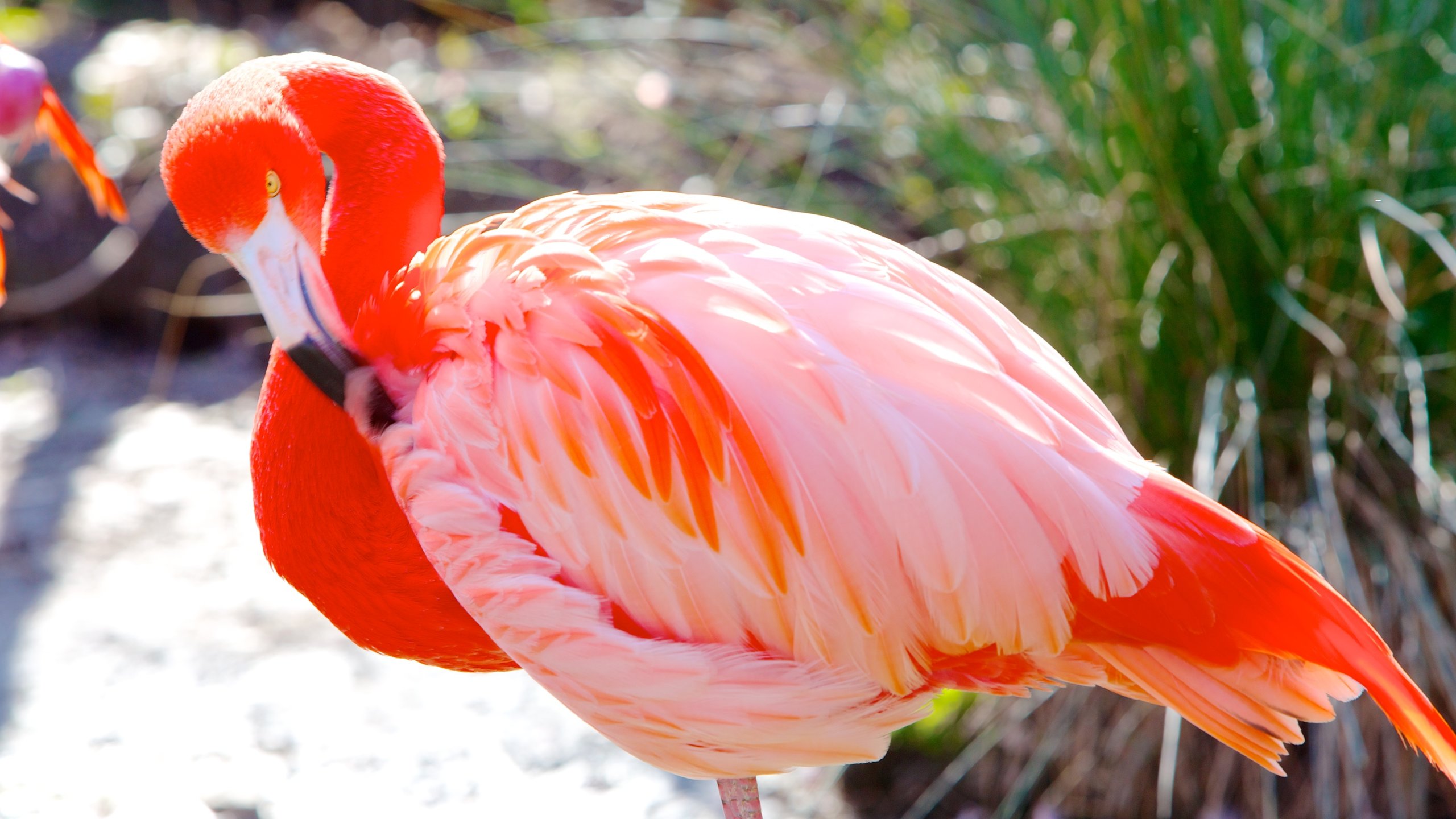 Sacramento Zoo in Southwestern Sacramento | Expedia Sacramento Zoo in Southwestern Sacramento | Expedia