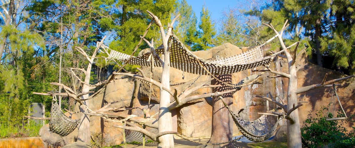サクラメント動物園 どの含み 動物園の動物