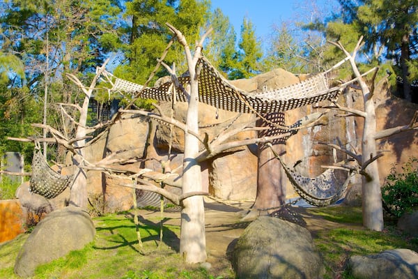 Sacramento Zoo featuring zoo animals