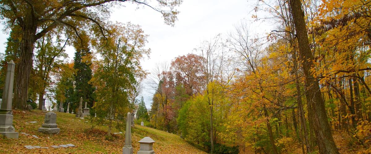 Spring Grove Cemetery showing a park, autumn leaves and a cemetery