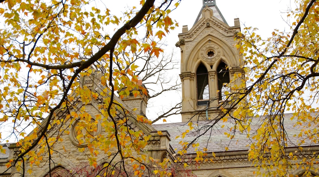 Spring Grove Cemetery showing fall colors, a church or cathedral and religious elements