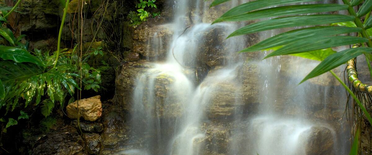 Krohn Conservatory showing a cascade