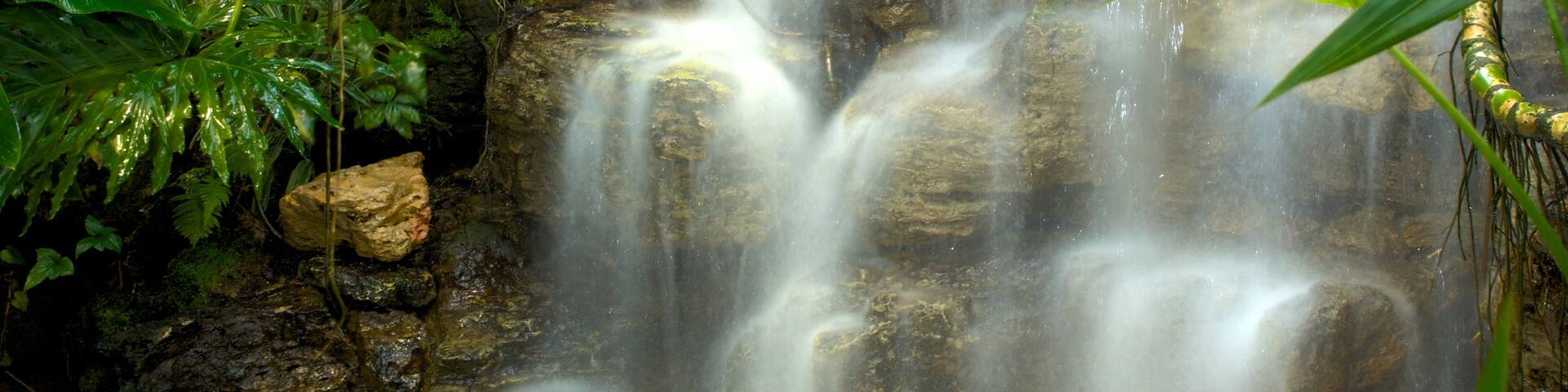 Krohn Conservatory featuring a waterfall