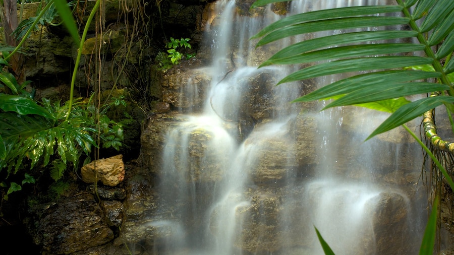 Natuurbeheer Krohn toont een waterval