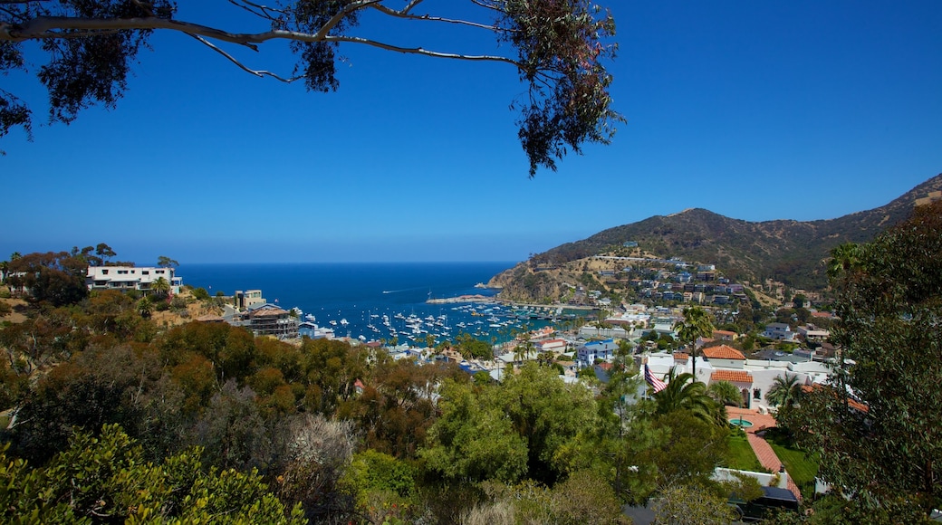 Isla Catalina ofreciendo una ciudad costera y una bahía o un puerto