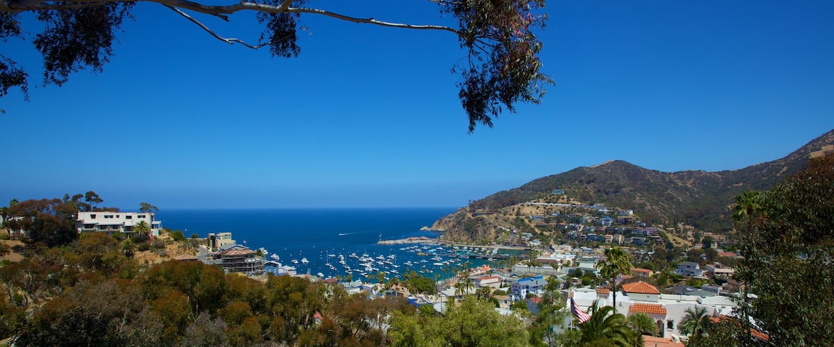 Catalina Island bevat een baai of haven en een kuststadje