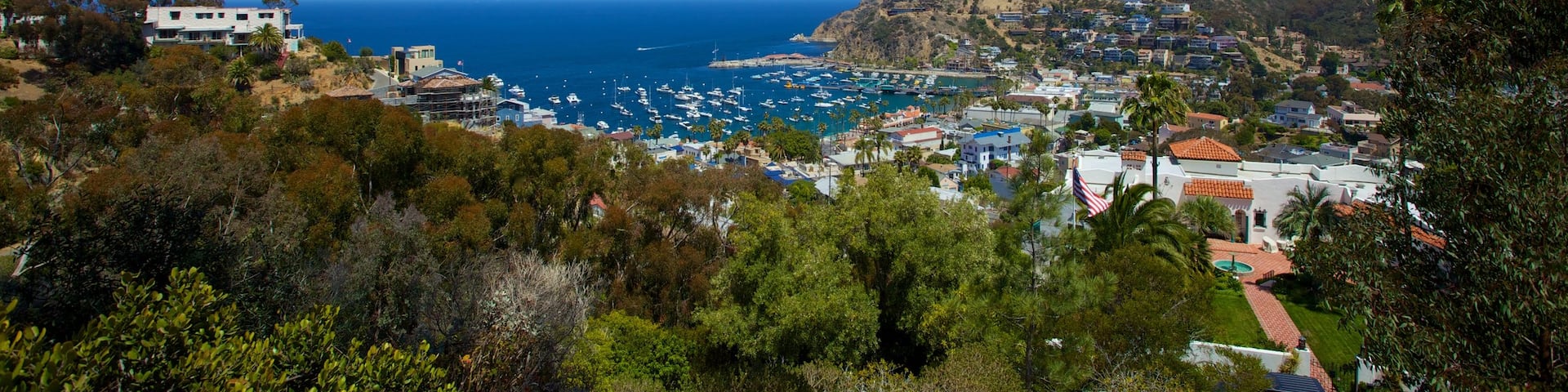 Catalina Island featuring a bay or harbor and a coastal town