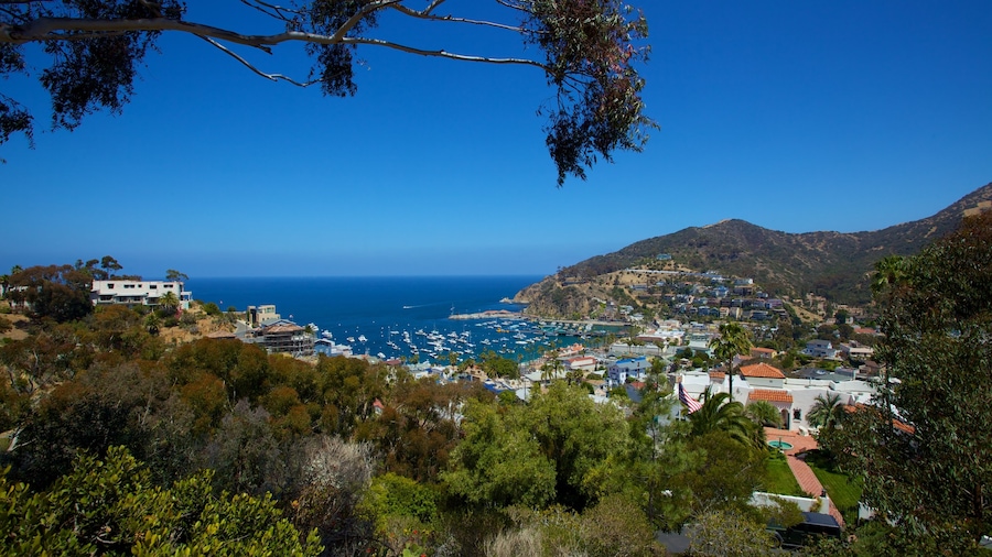 Catalina Island featuring a bay or harbor and a coastal town
